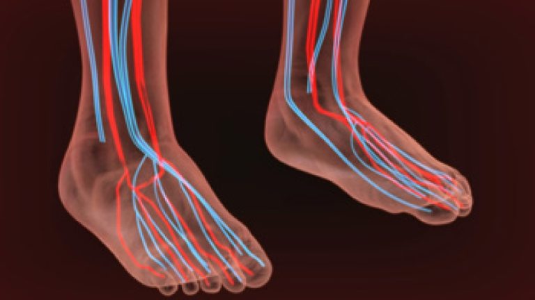 Supporting Better Circulation in Your Feet
